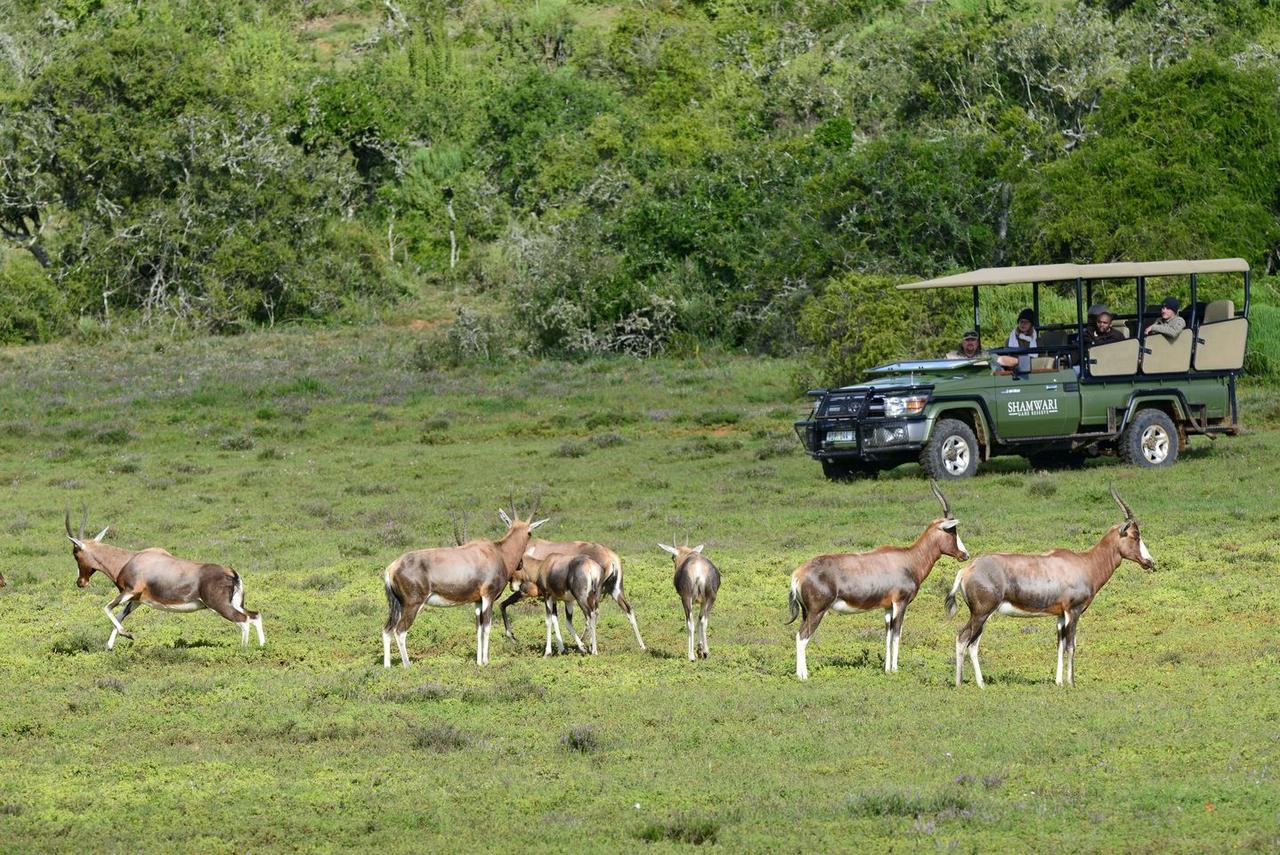 Shamwari Eagles Crag Villa Порт Елизабет Екстериор снимка