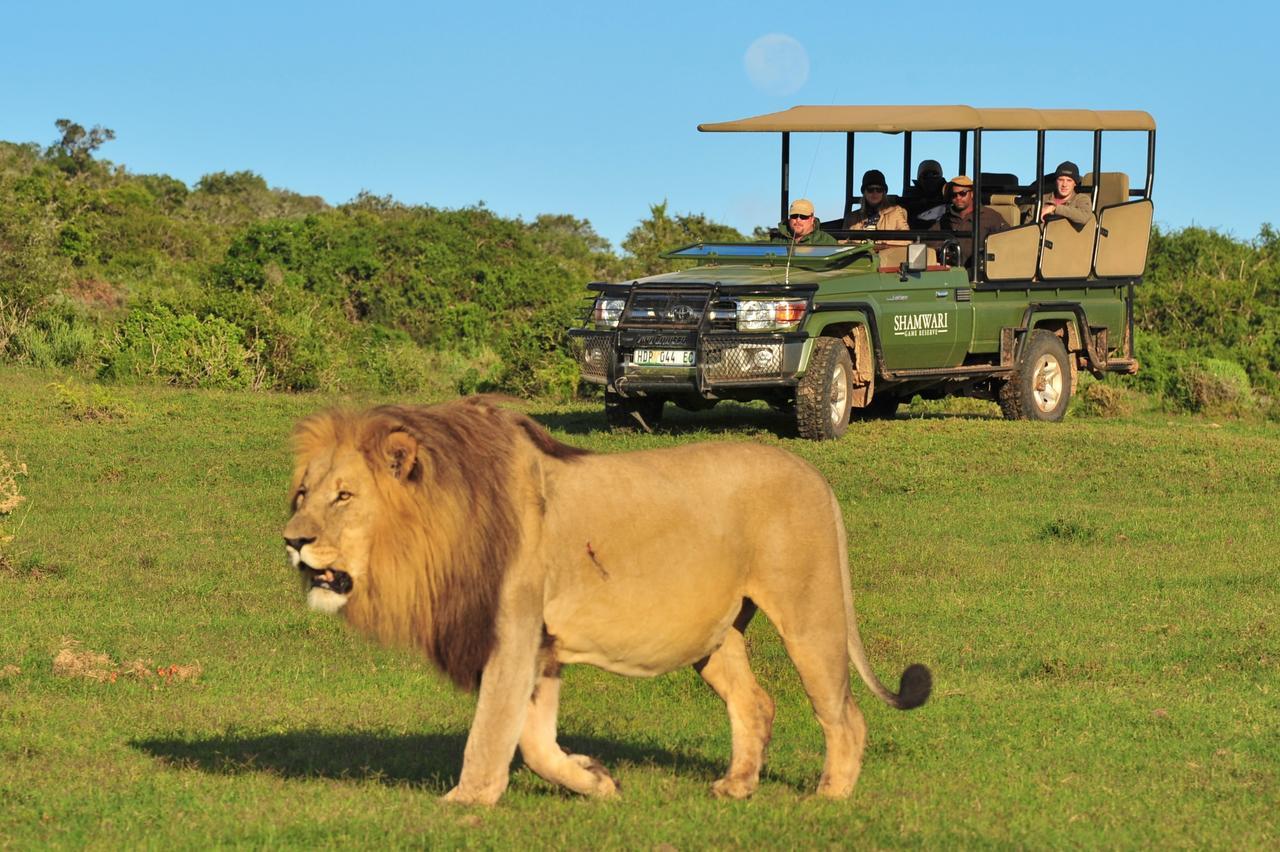 Shamwari Eagles Crag Villa Порт Елизабет Екстериор снимка