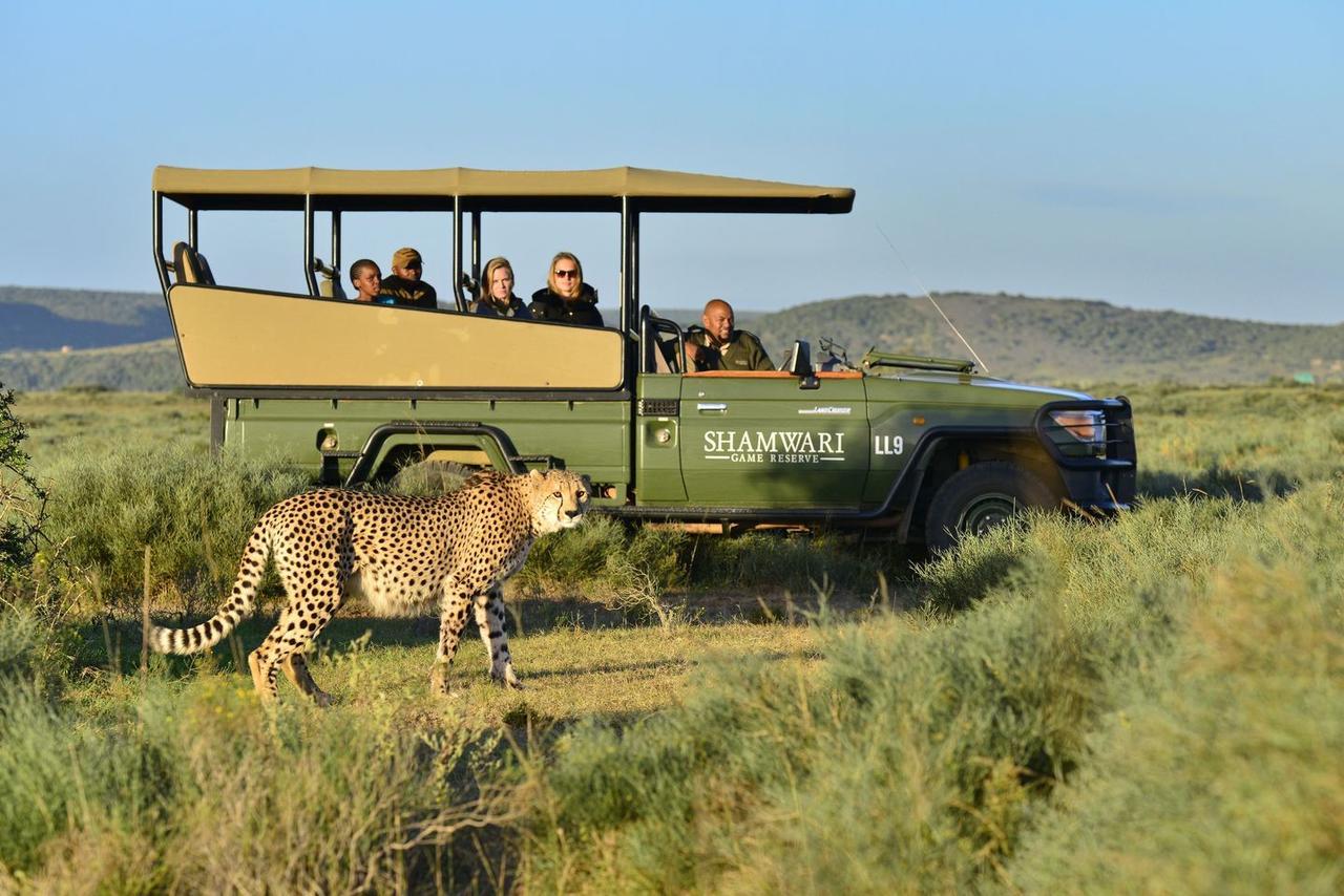 Shamwari Eagles Crag Villa Порт Елизабет Екстериор снимка