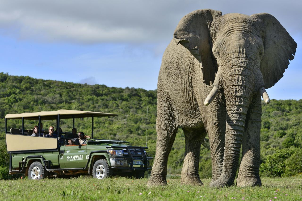 Shamwari Eagles Crag Villa Порт Елизабет Екстериор снимка